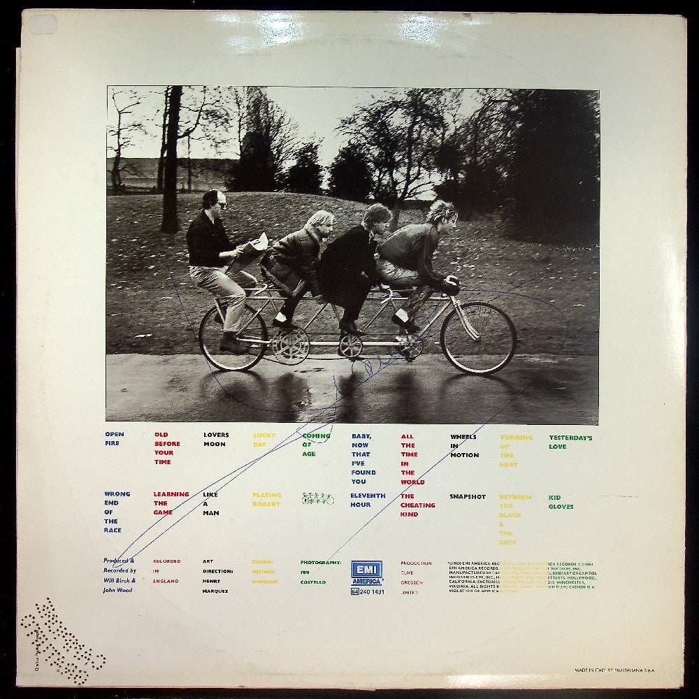 EBOND Any Trouble - Wrong End Of The Race Vinile V016148