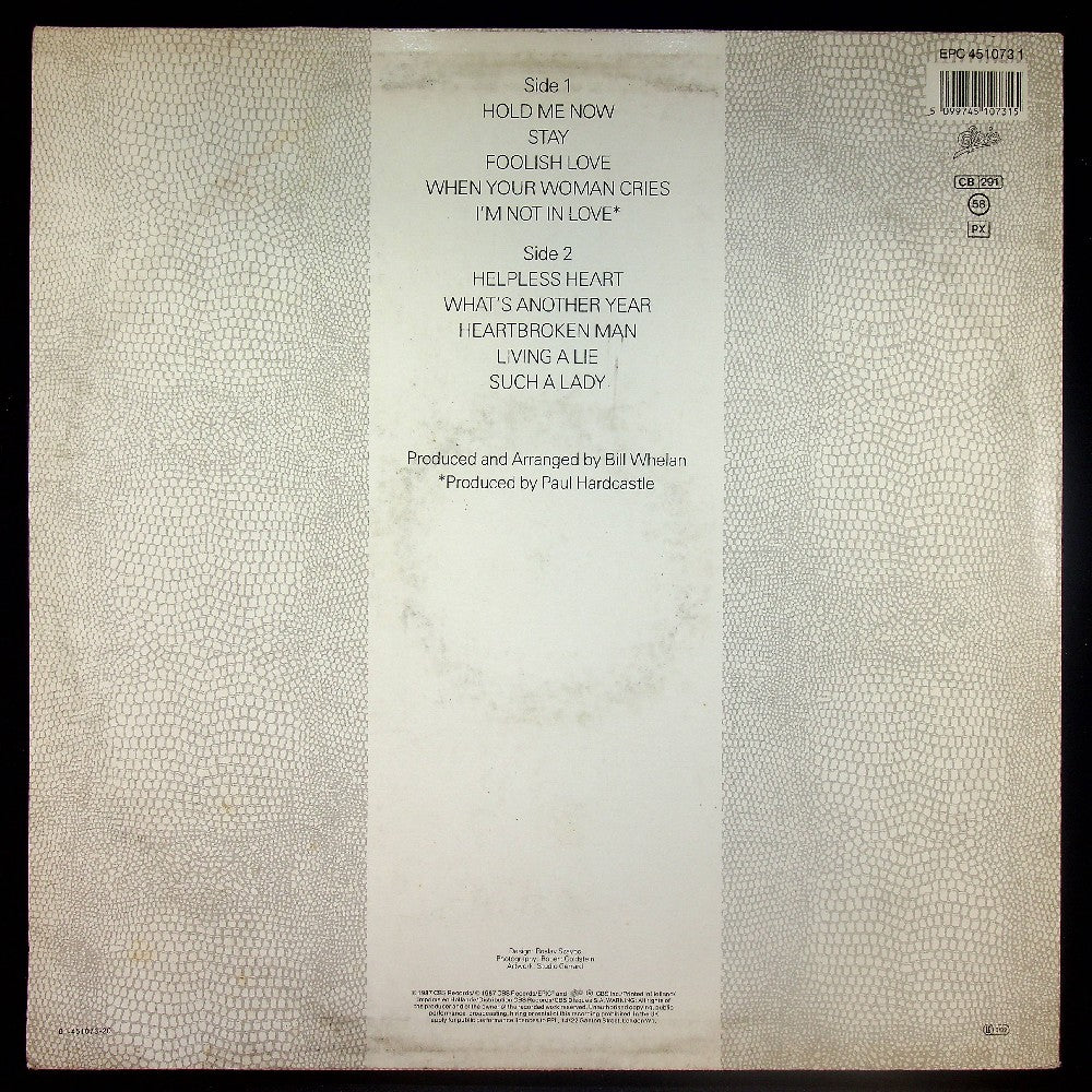 EBOND Johnny Logan - Hold Me Now Vinile V022059