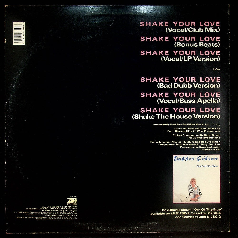 EBOND Debbie Gibson - Shake Your Love Vinile V026025