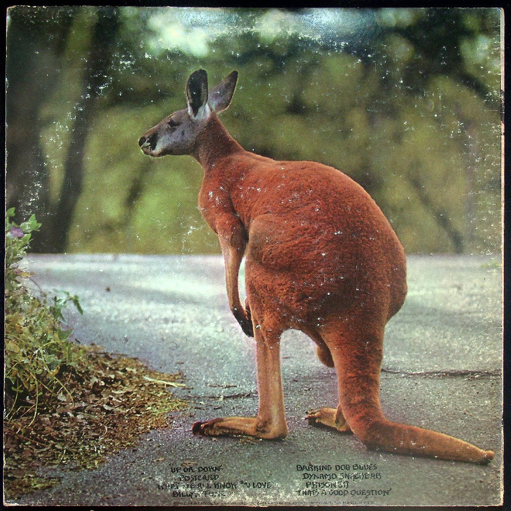 EBOND Peter Kaukonen - Black Kangaroo Vinile V026147