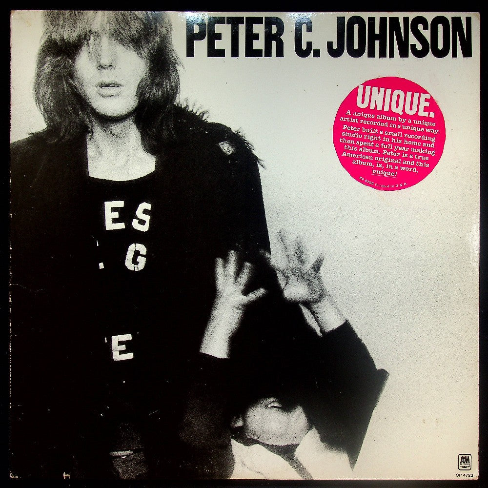 EBOND Peter C. Johnson - Peter C. Johnson Vinile V029000