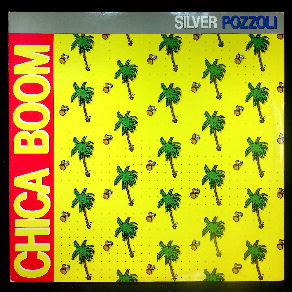 EBOND Silver Pozzoli - Chica Boom Vinile V035088