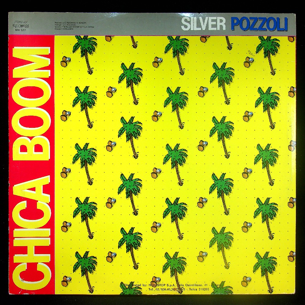 EBOND Silver Pozzoli - Chica Boom Vinile V035088