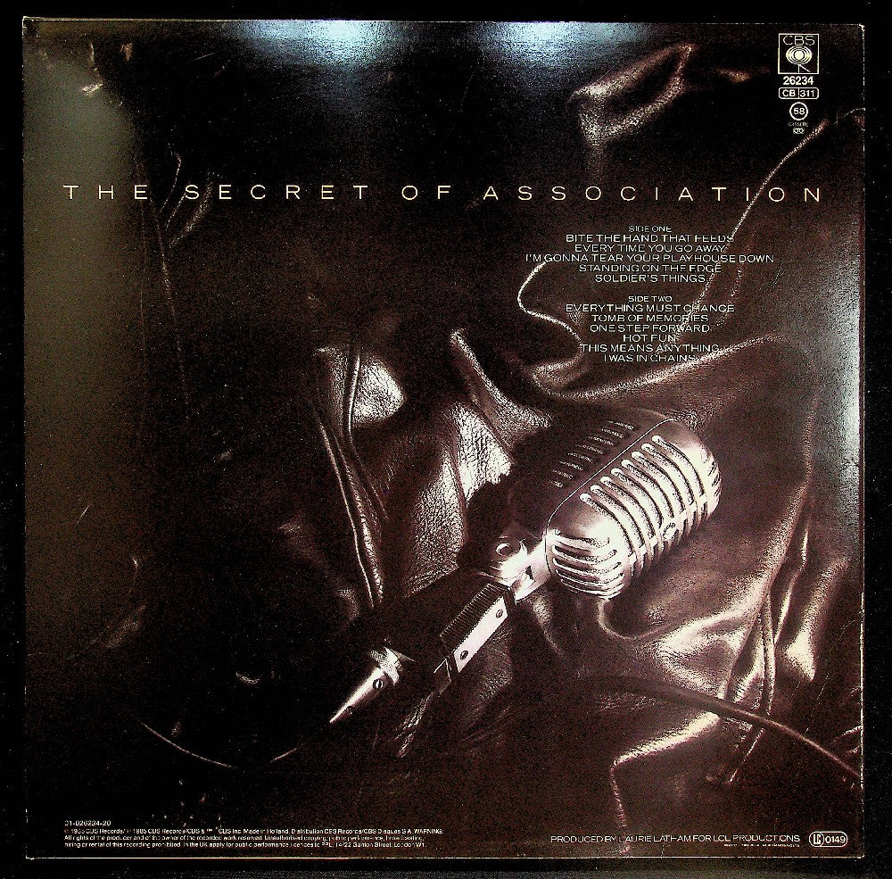 EBOND Paul Young - The Secret Of Association Vinile V038064