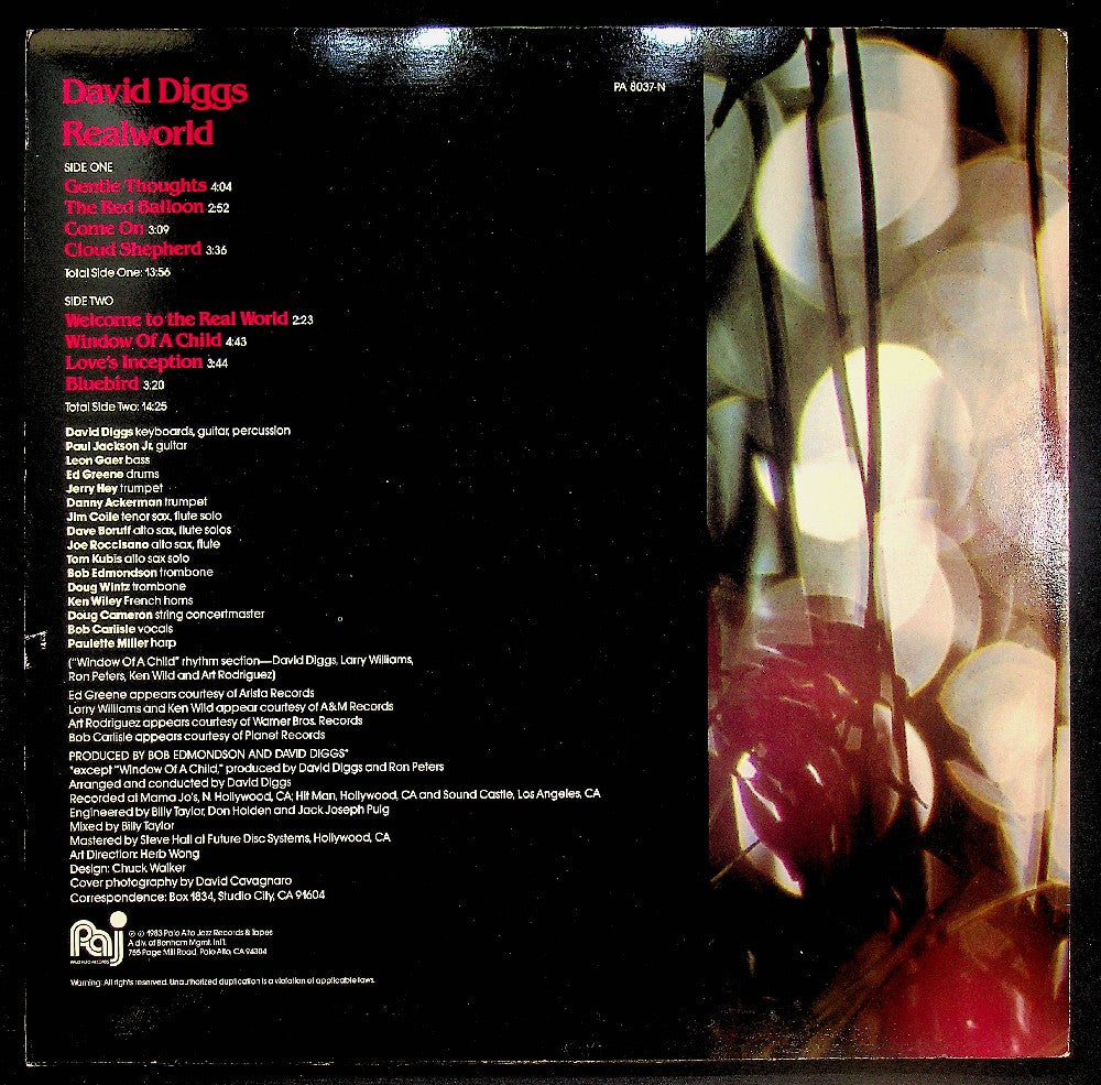 EBOND David Diggs - Realworld Vinile V038073