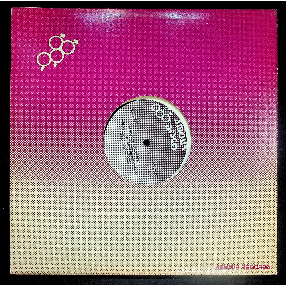 EBOND Birds Of A Feather - Elvis, How Could I Resist Vinile V043022