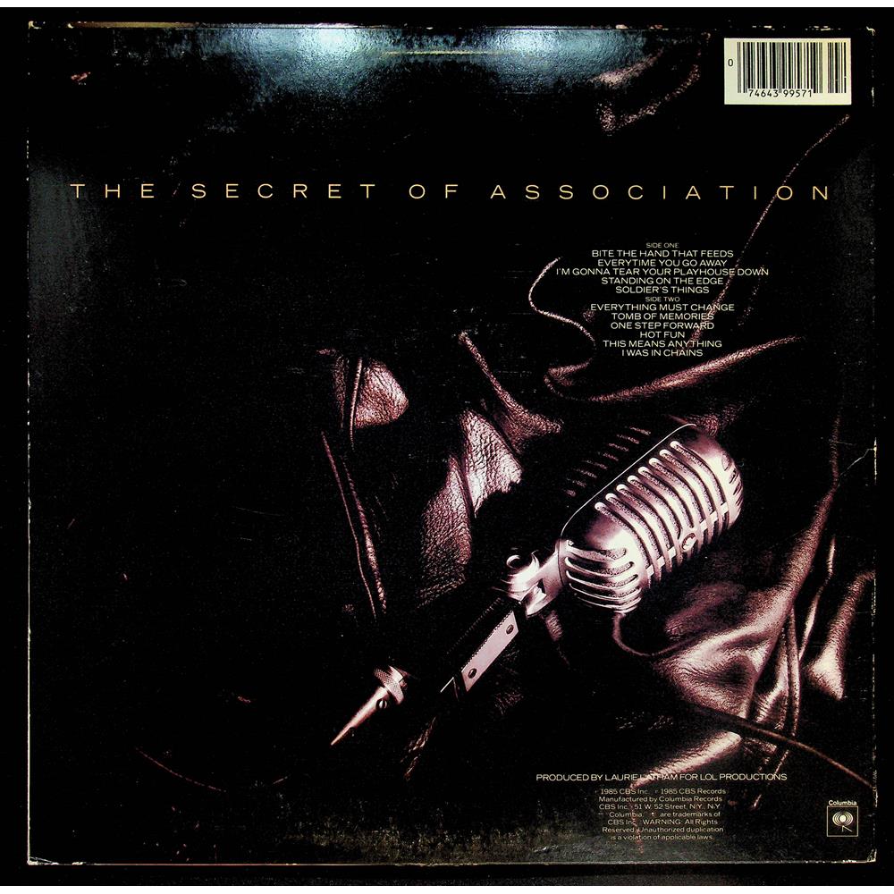 EBOND Paul Young - The Secret Of Association Vinile V054096