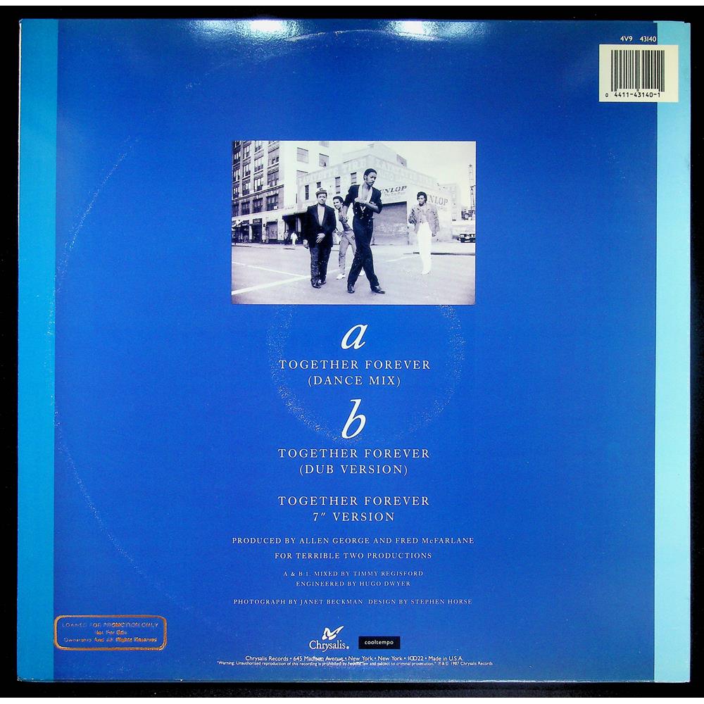 EBOND Intrique - Together Forever Vinile V054112