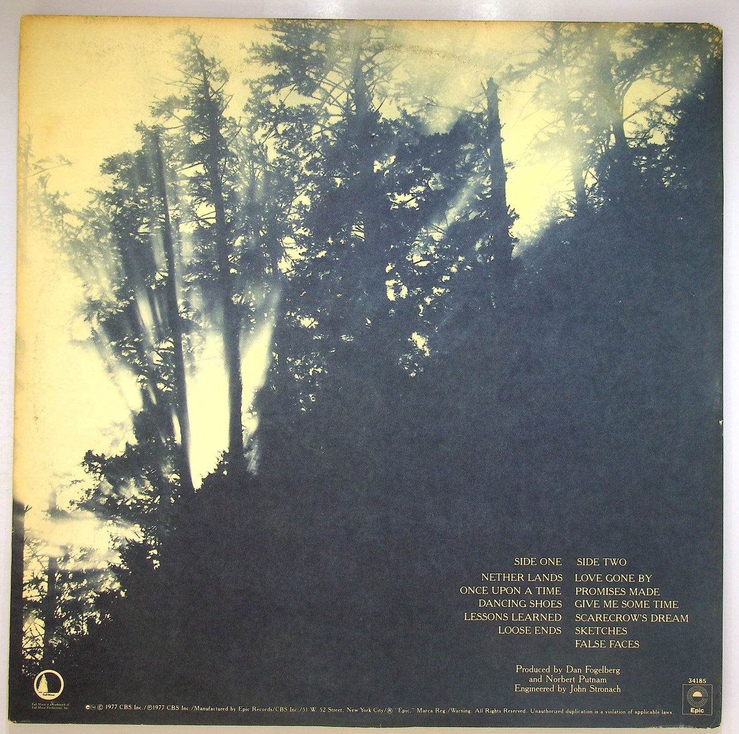 EBOND Dan Fogelberg - Nether Lands Vinile V078024