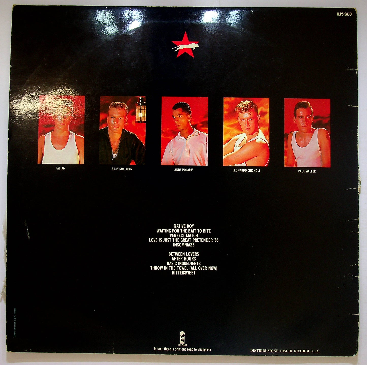 EBOND Animal Nightlife - Shangri-La Vinile V079091