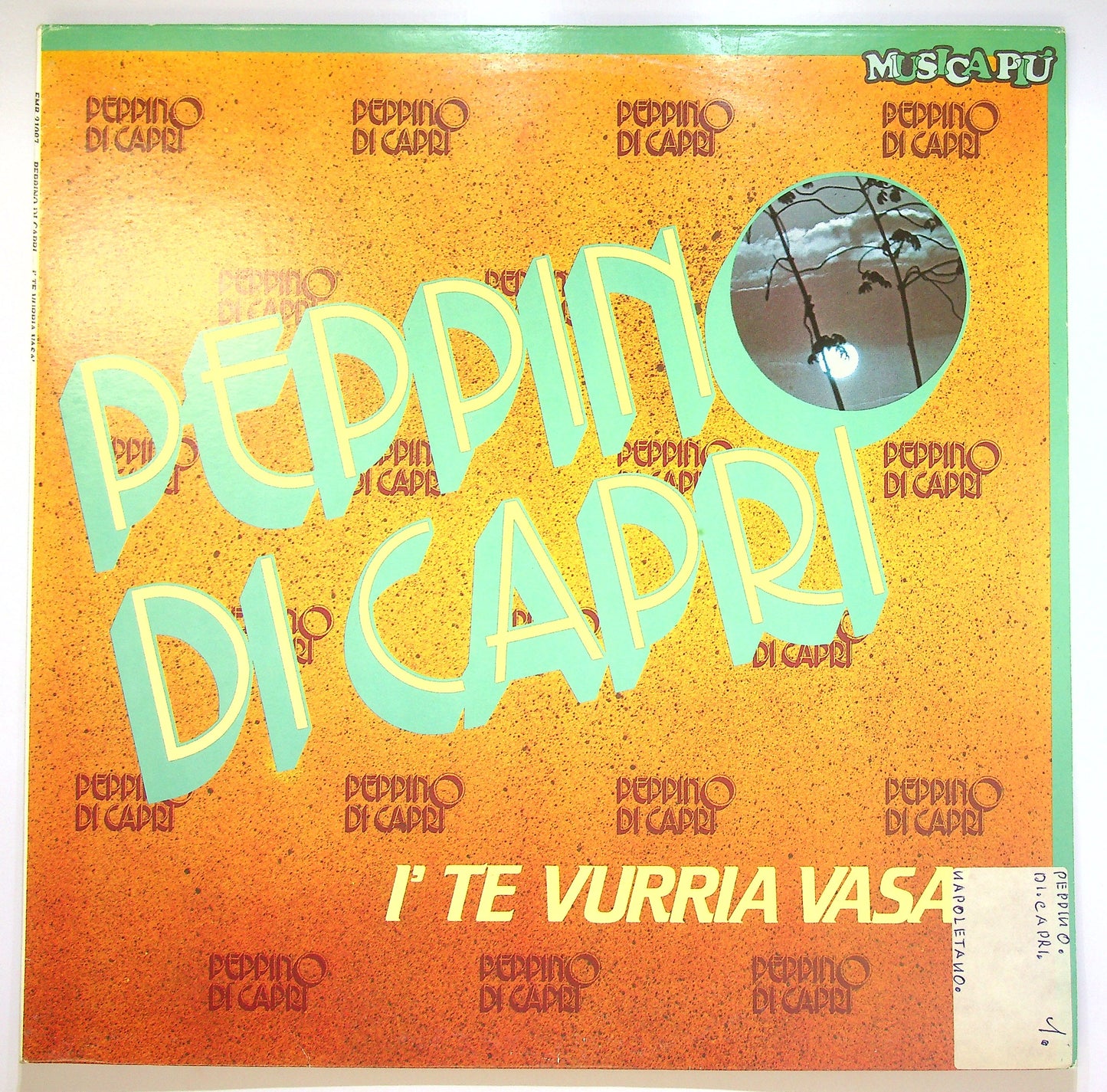 EBOND Peppino Di Capri - I' Te Vurria Vasa' Vinile V084095
