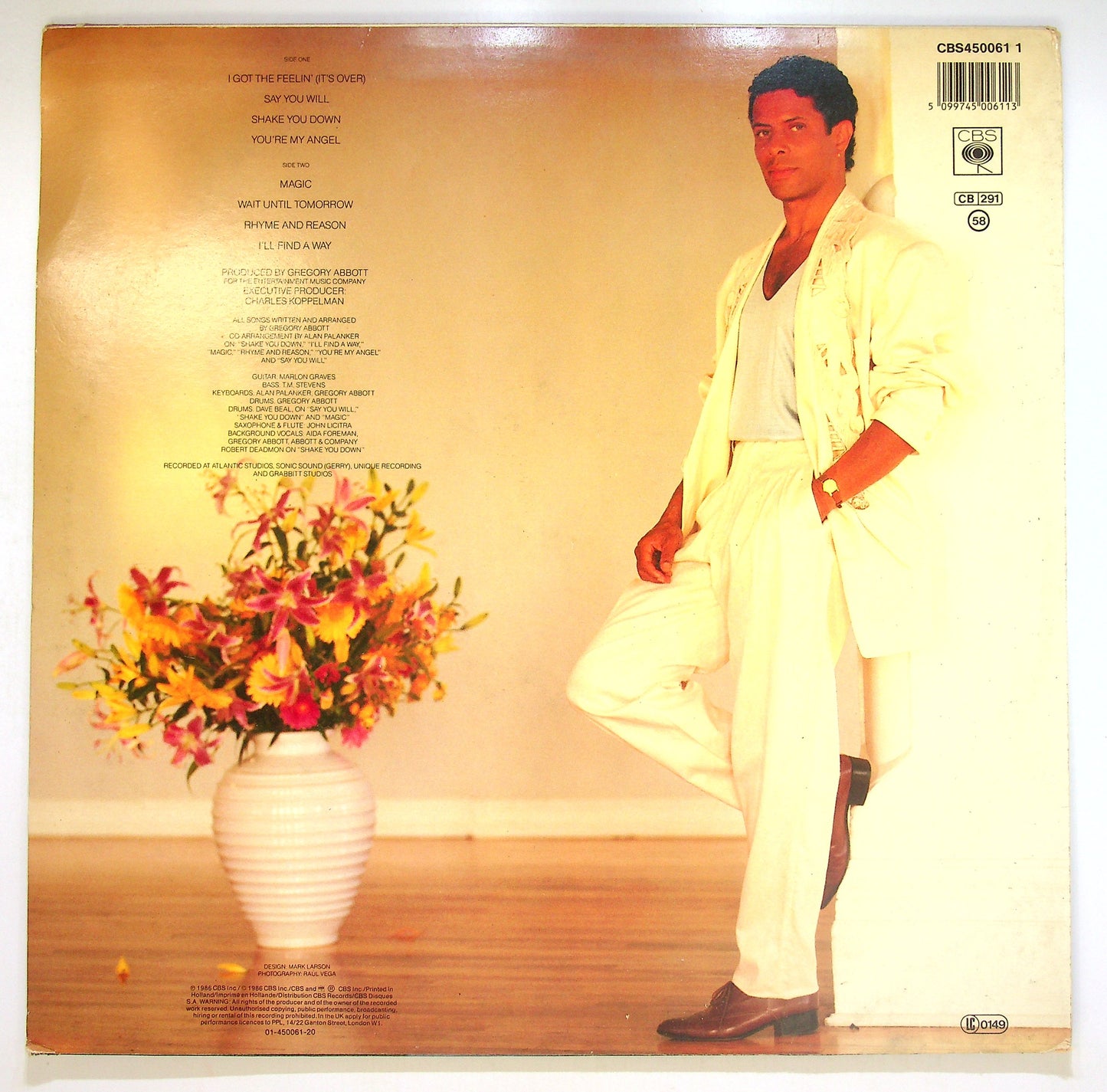 EBOND Gregory Abbott - Shake You Down Vinile V085131
