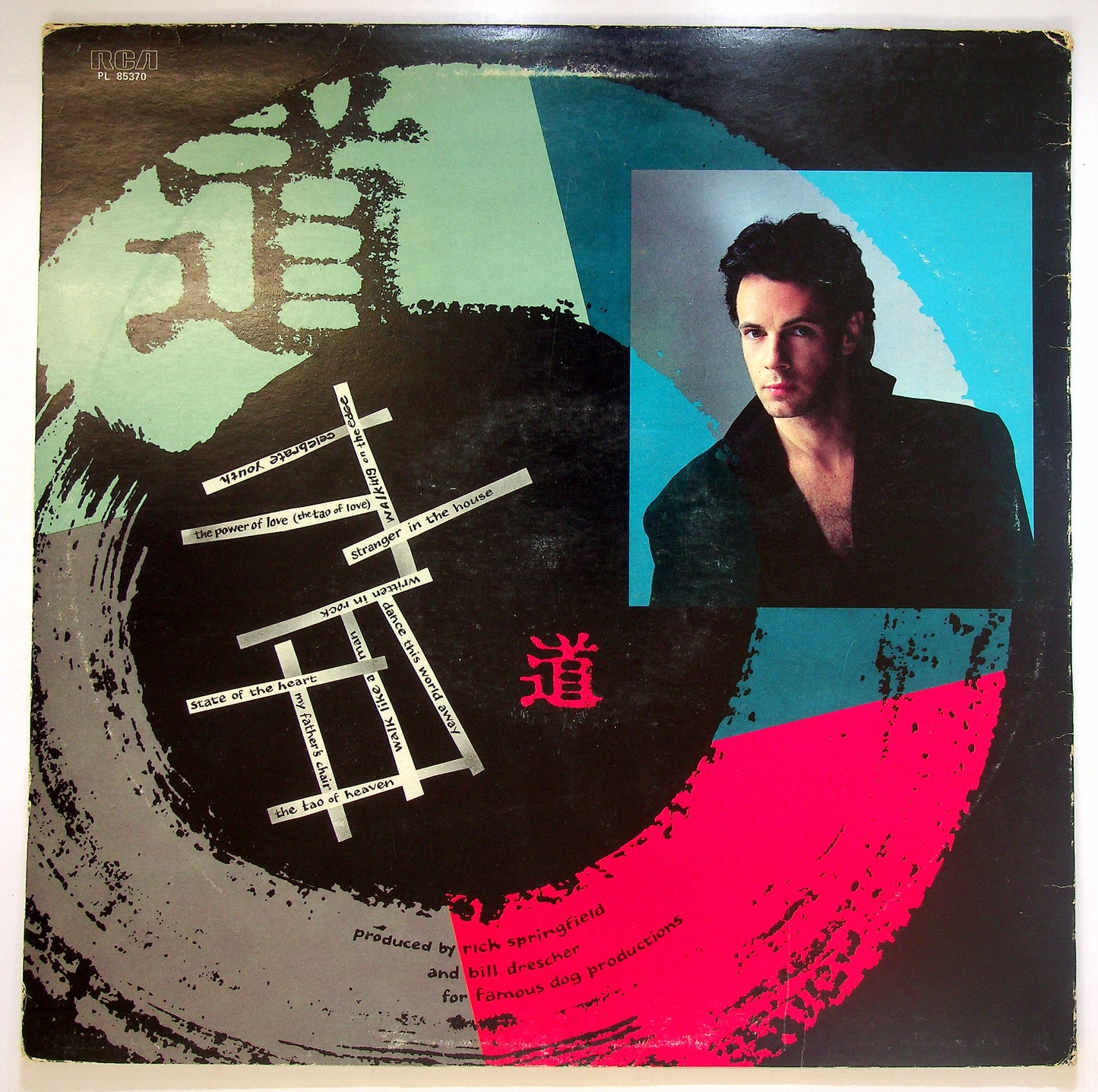 EBOND Rick Springfield - Tao Vinile V088046