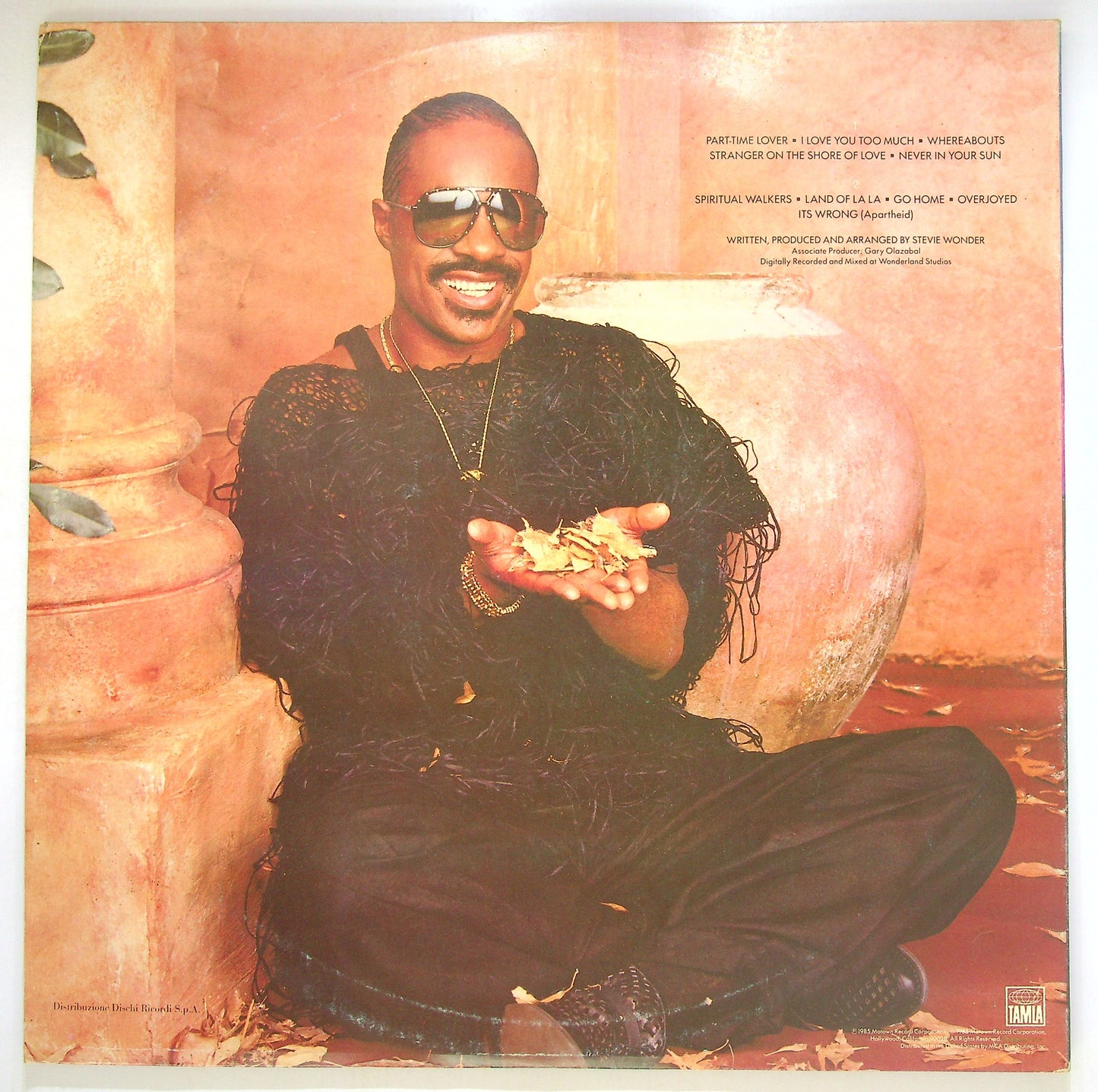 EBOND Stevie Wonder - In Square Circle Vinile V090126
