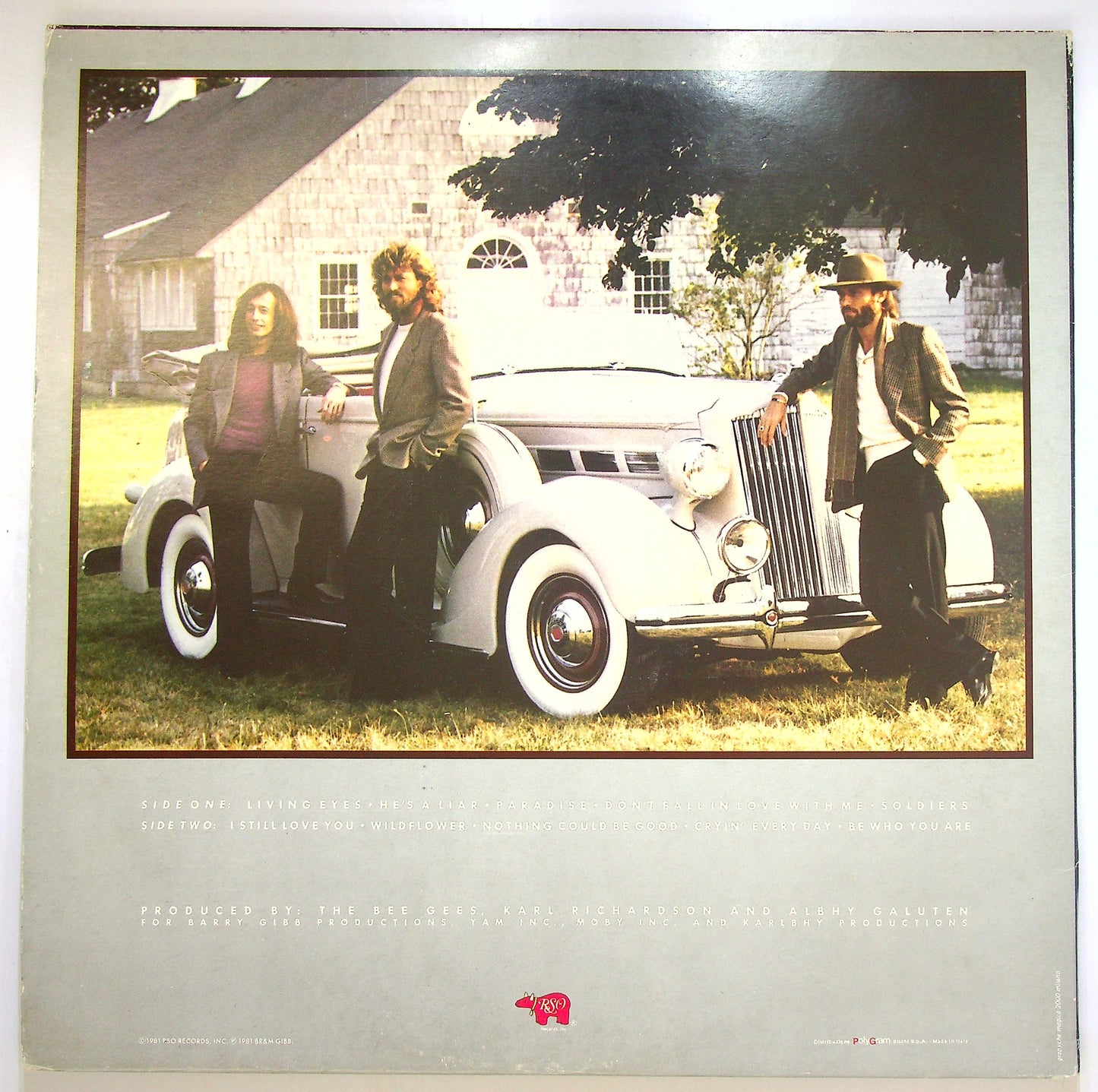 EBOND Bee Gees - Living Eyes Vinile V091001