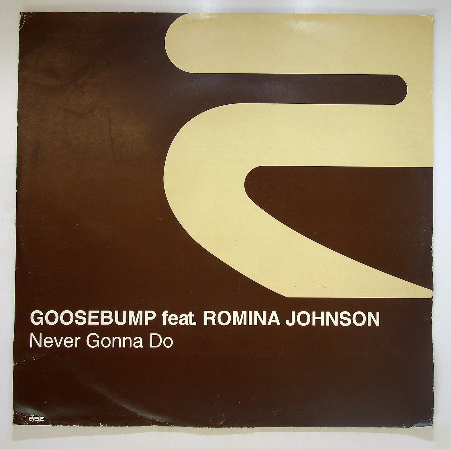 EBOND Goosebump Feat. Romina Johnson - Never Gonna Do Vinile V091044