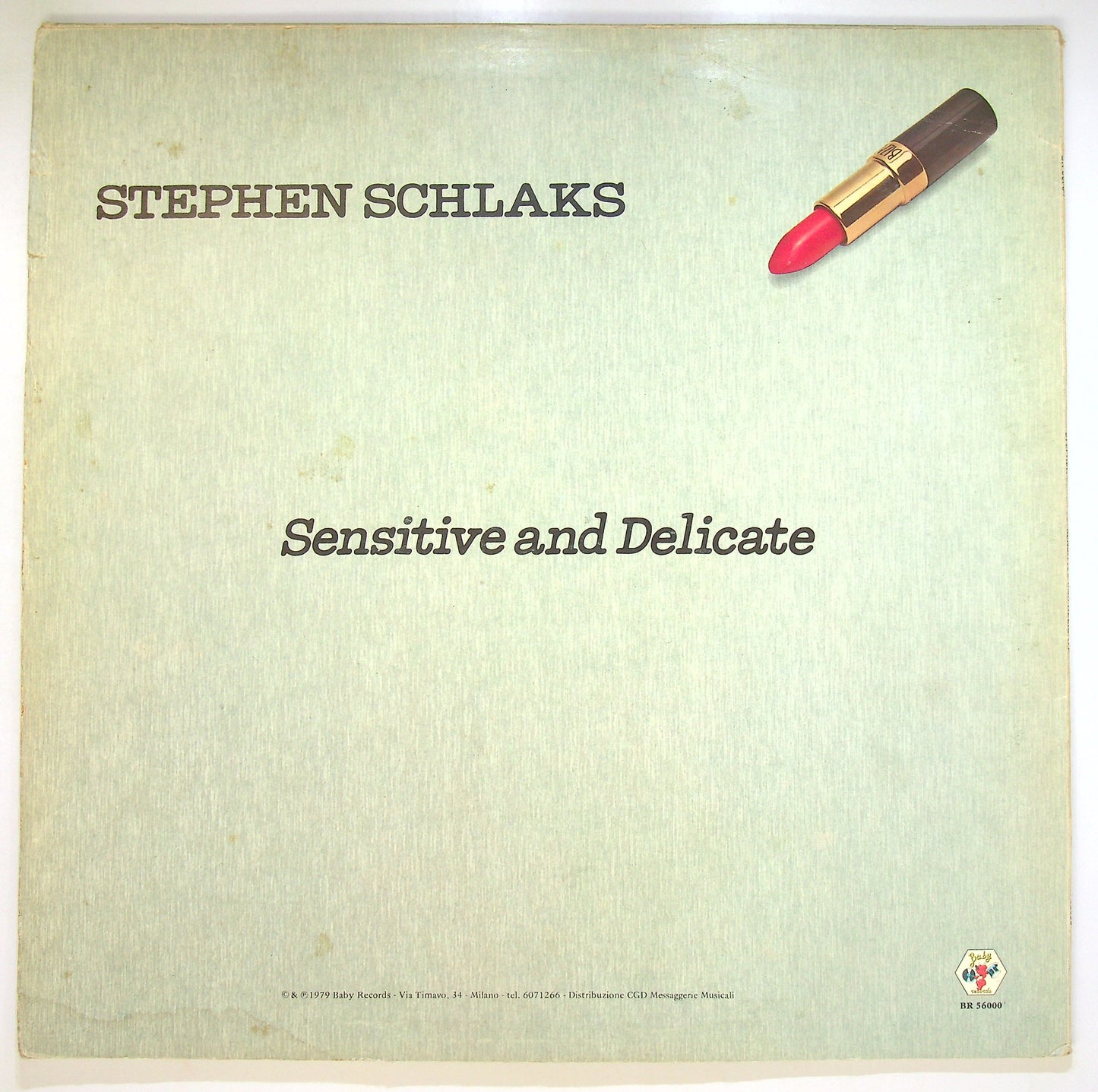 EBOND Stephen Schlaks - Sensitive And Delicate Vinile V096088