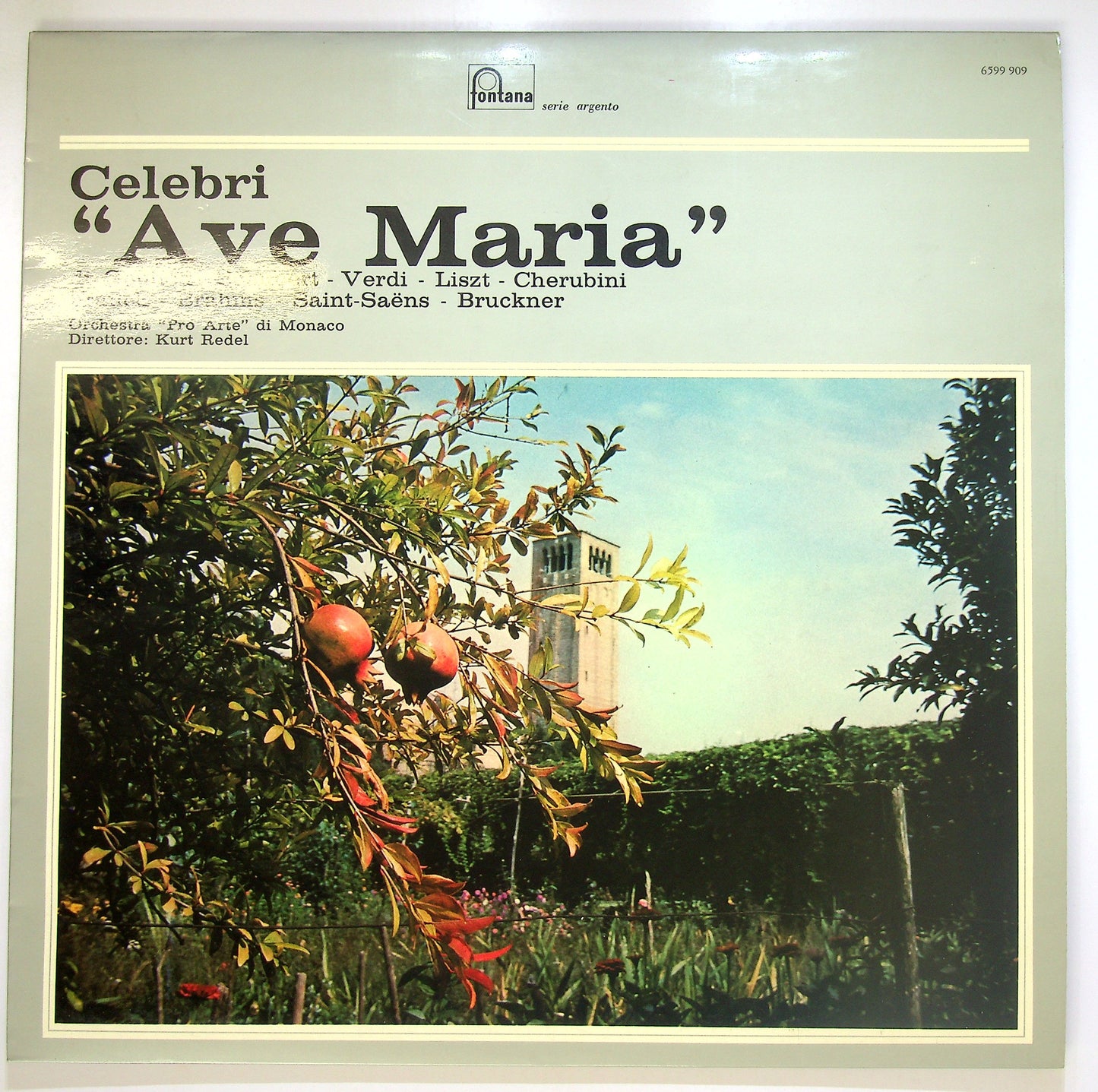 EBOND Various - Celebri 'Ave Maria' Vinile V096094