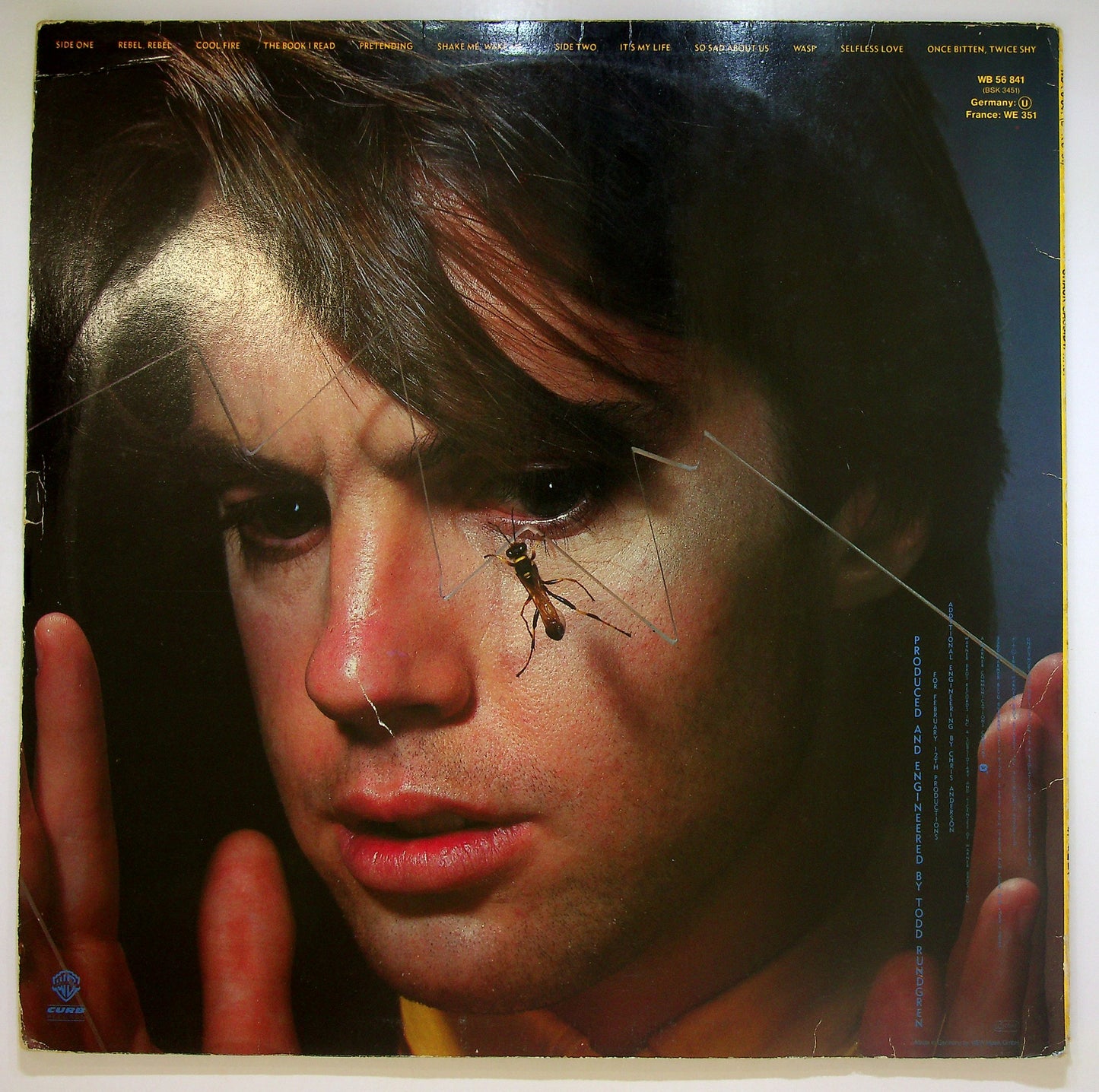 EBOND Shaun Cassidy - Wasp Vinile V099048