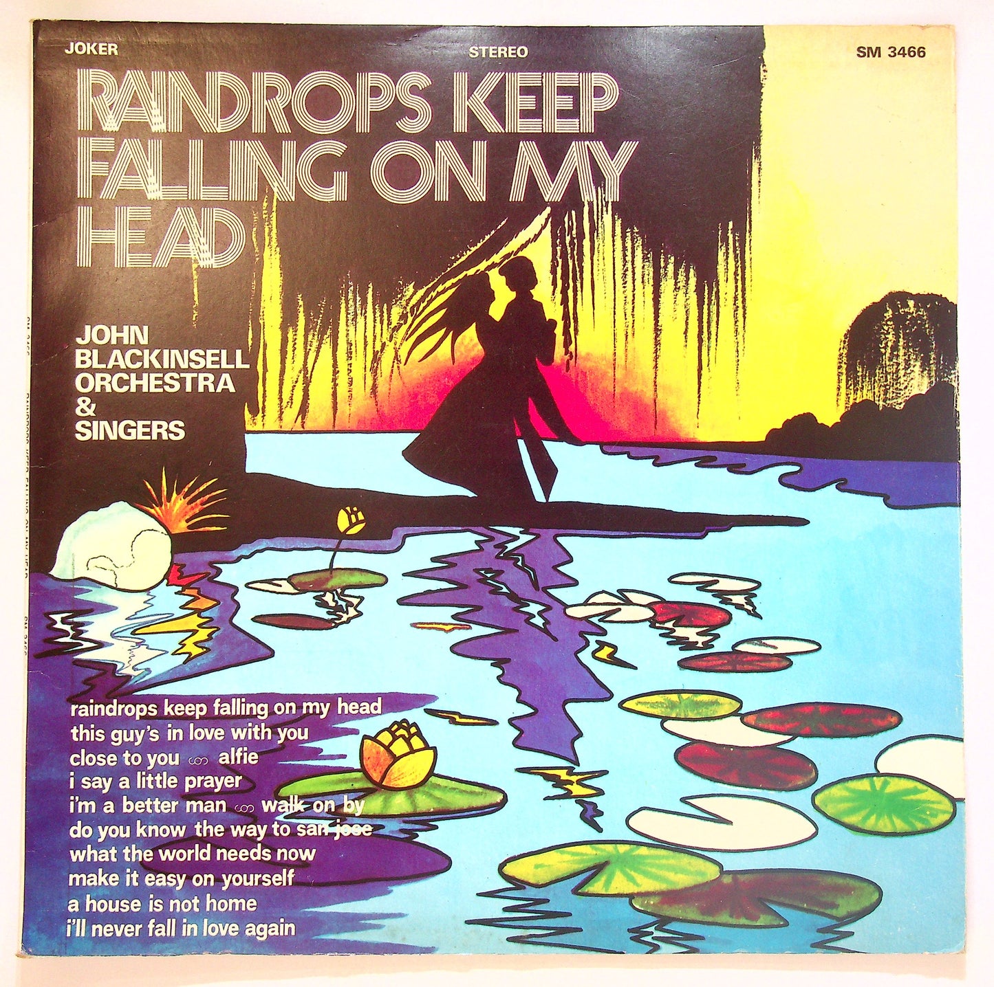 EBOND John Blackinsell - Raindrops Keep Falling On My Head Vinile V101076