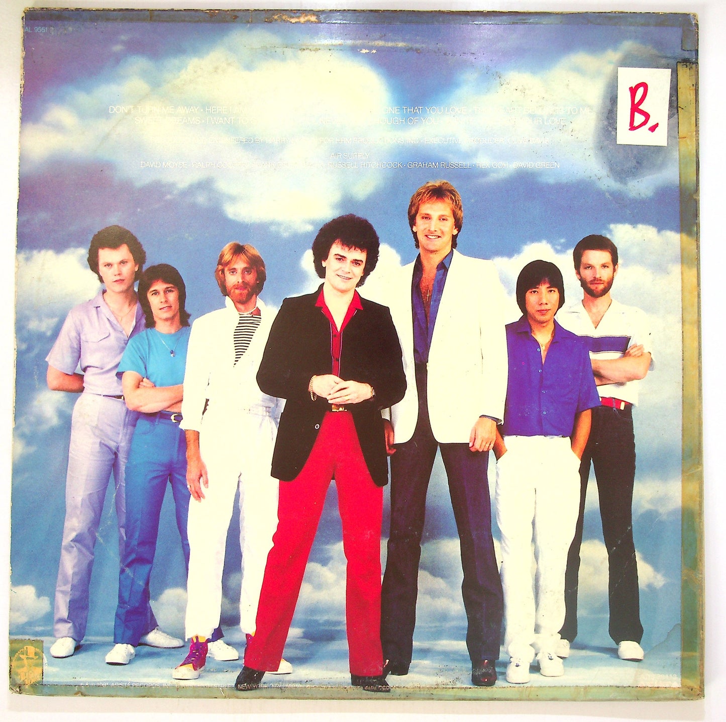EBOND Air Supply - The One That You Love Vinile V102090