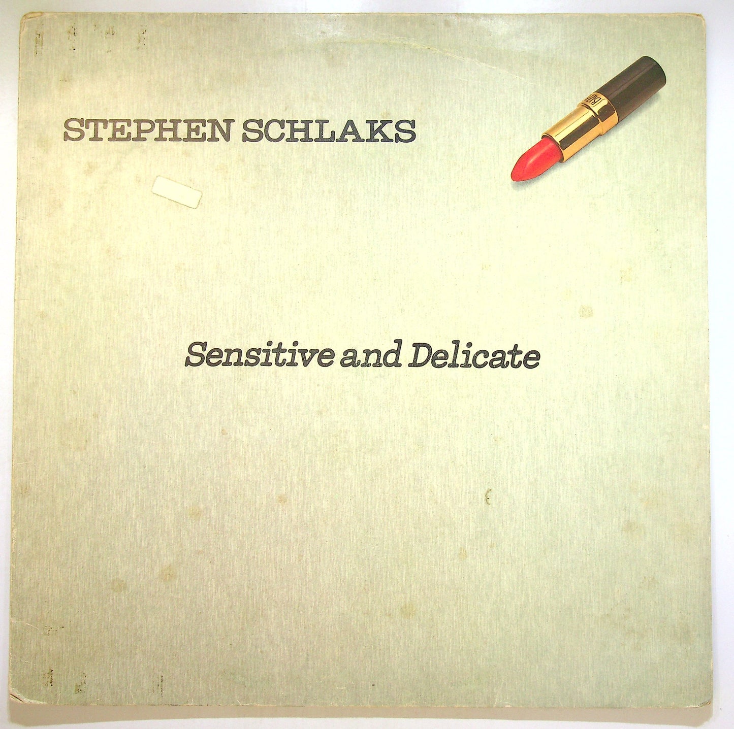 EBOND Stephen Schlaks - Sensitive And Delicate Vinile V105143