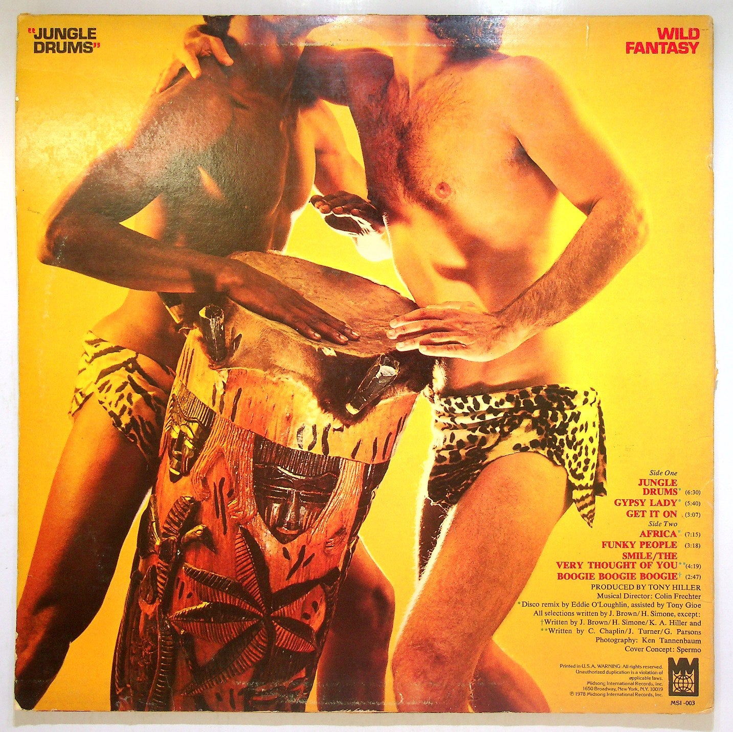 EBOND Wild Fantasy - Jungle Drums Vinile V114143