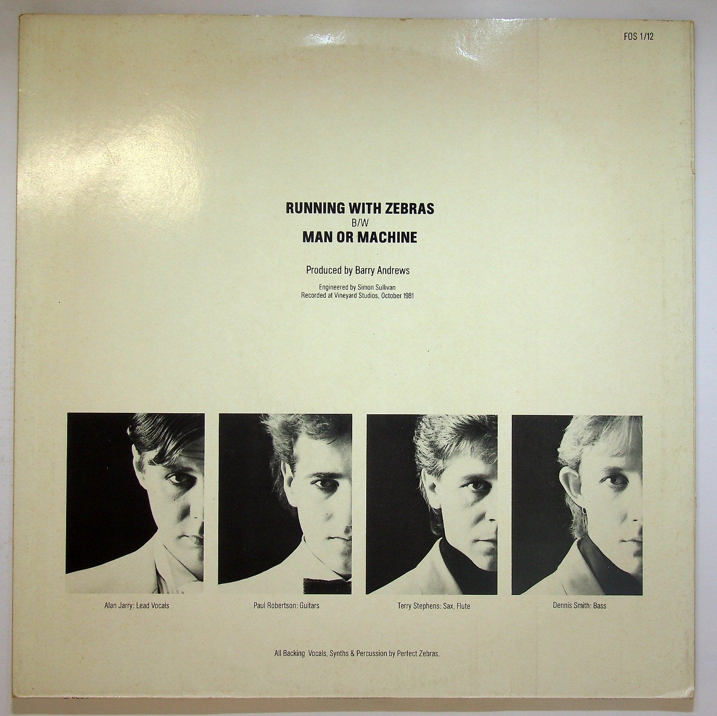 EBOND Perfect Zebras - Running With Zebras Vinile V118123