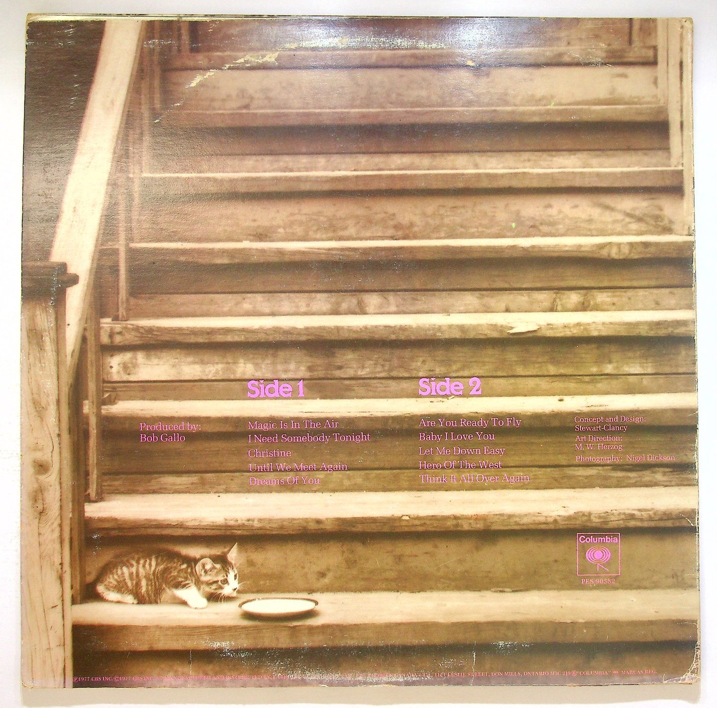 EBOND Fosterchild - Fosterchild Vinile V122104