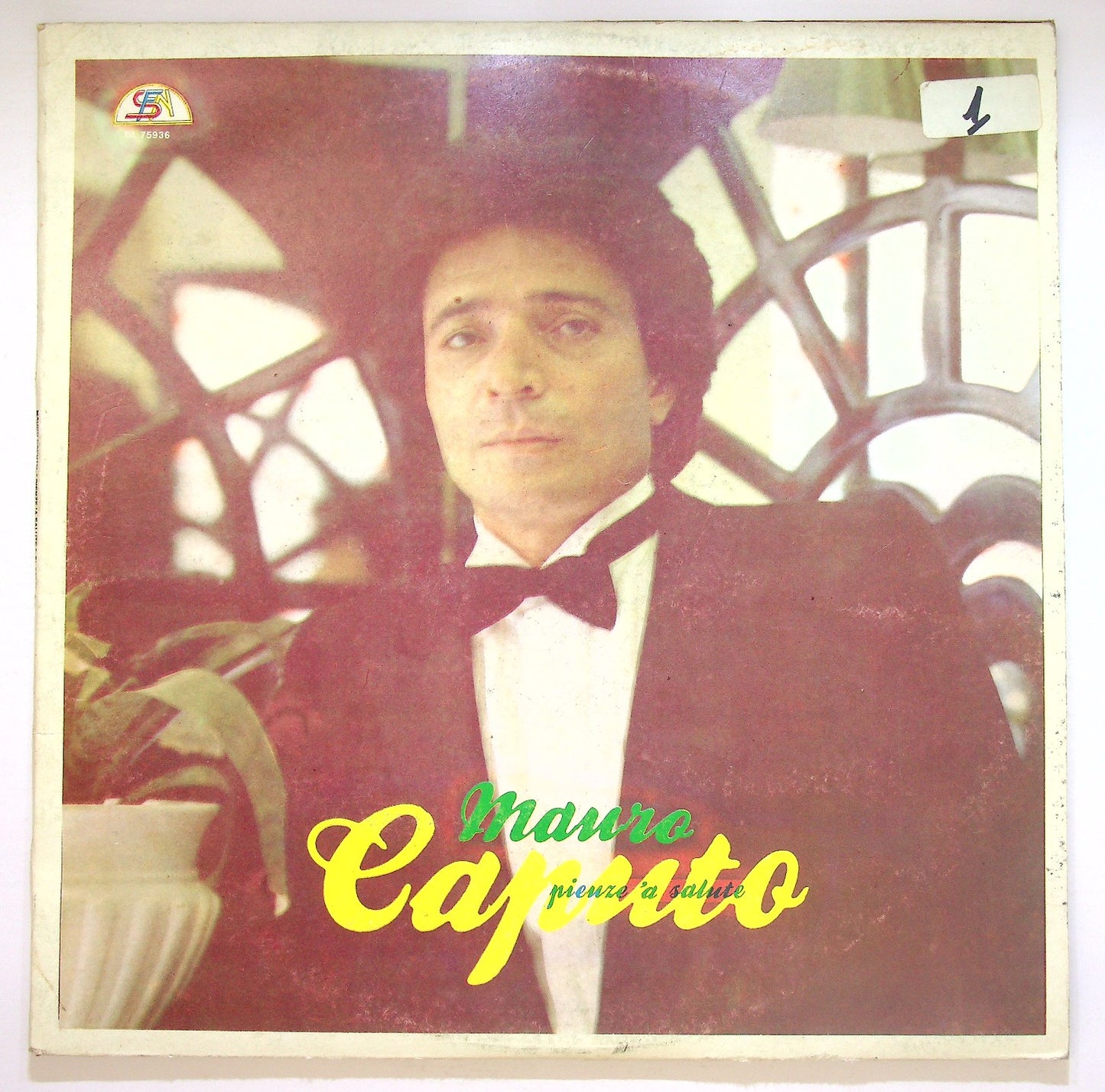 EBOND Mauro Caputo - Pienze 'A Salute Vinile V124136