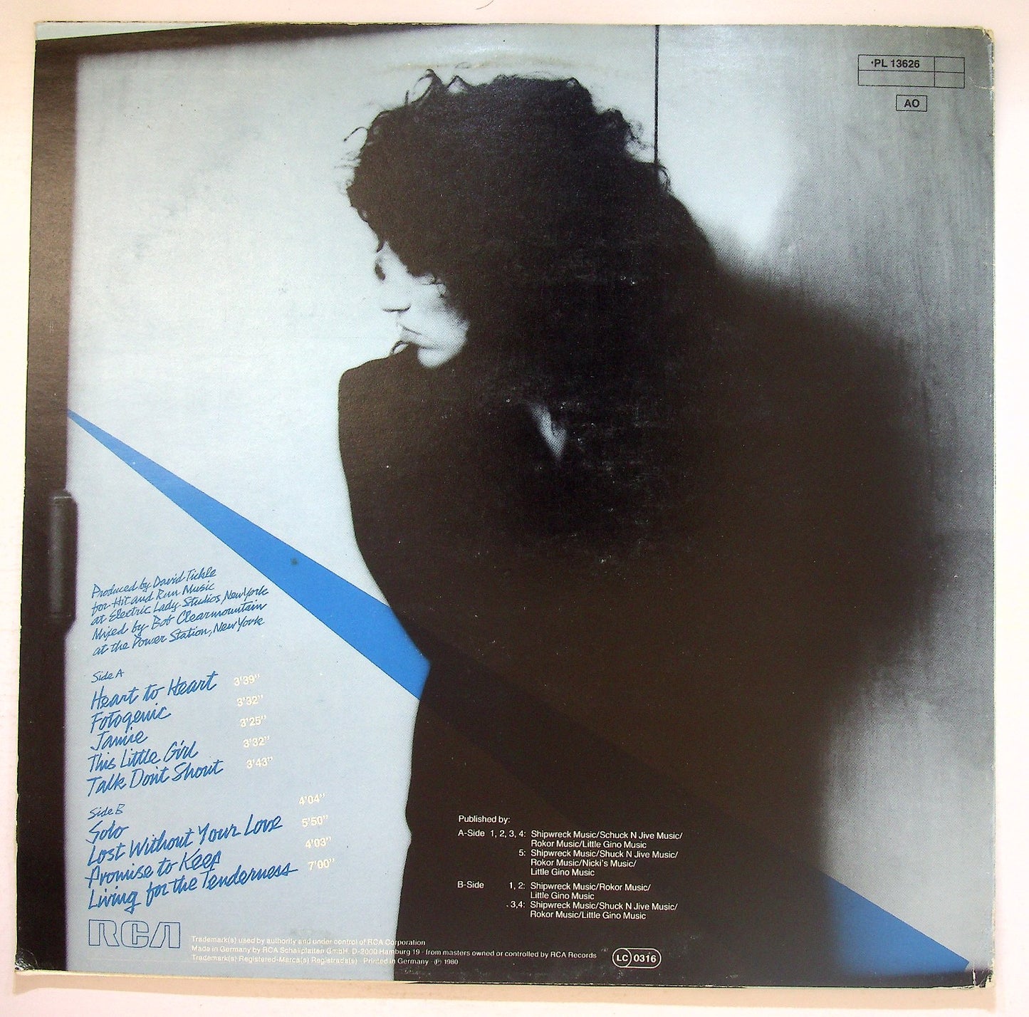 EBOND Ellen Shipley - Breaking Through The Ice Age Vinile V126112