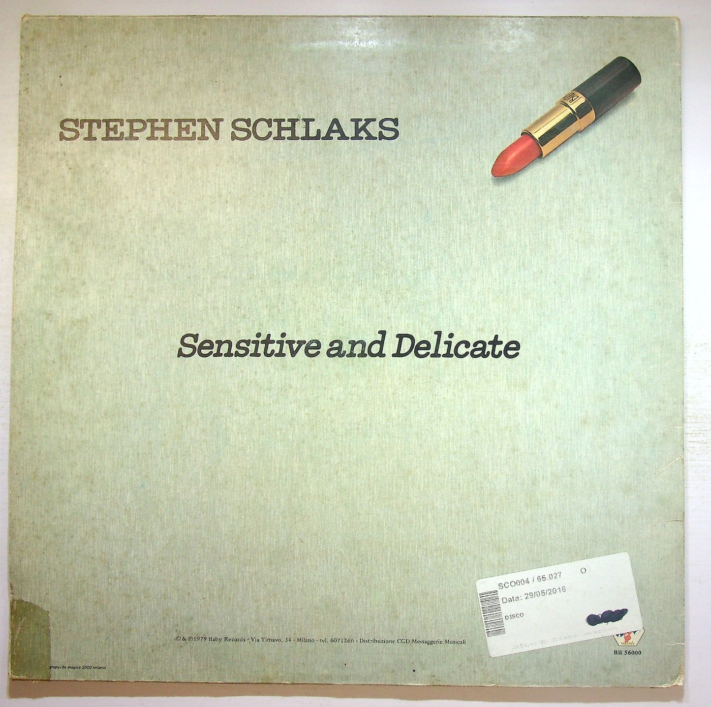 EBOND Stephen Schlaks - Sensitive And Delicate Vinile V132047