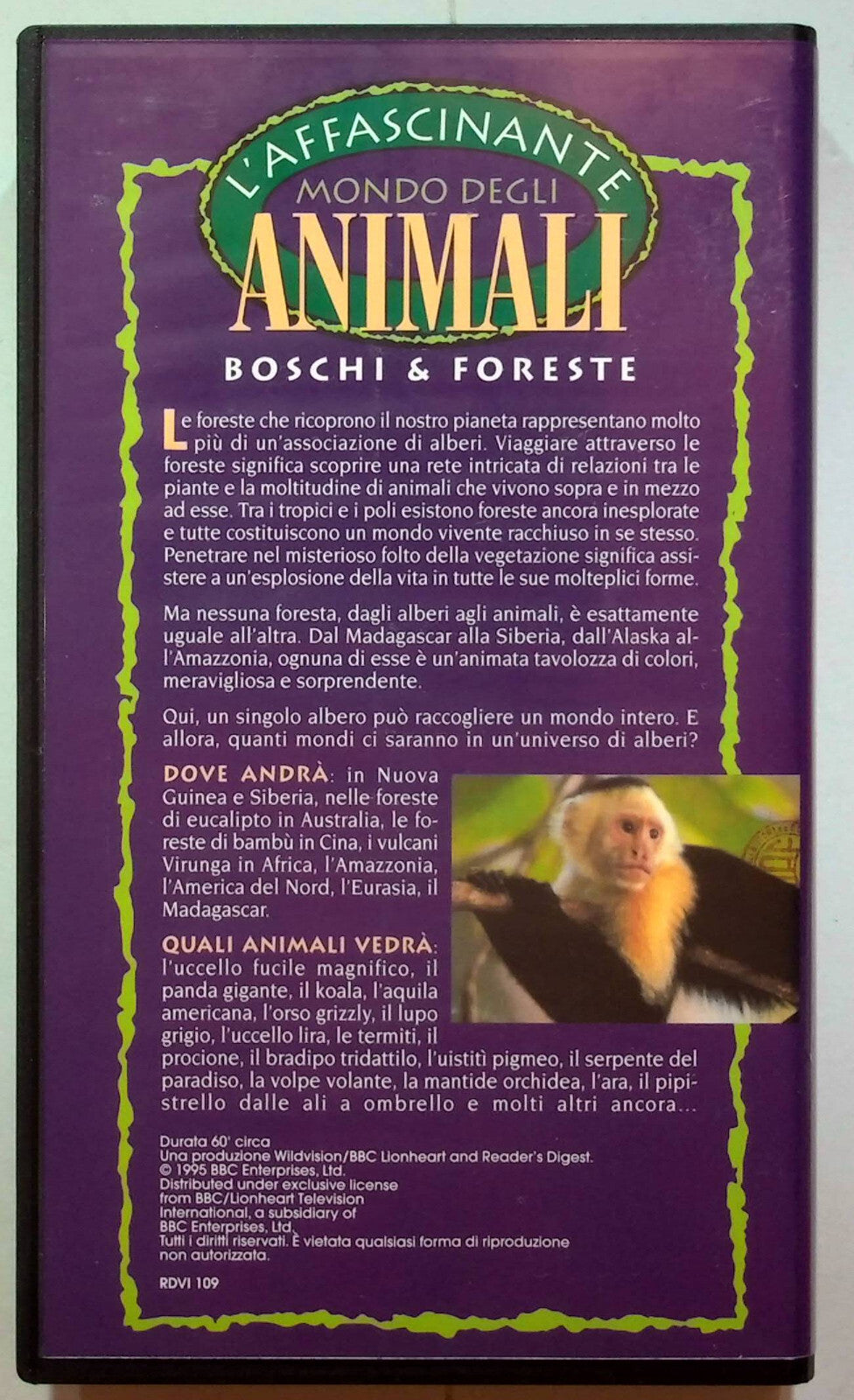 EBOND L'affascinante Mondo Degli Animali Boschi & Foreste VHS VH001579