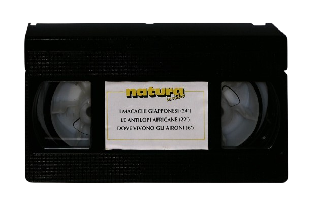 EBOND Natura In Video N 7 I Macachi Giapponesi VHS VH003627