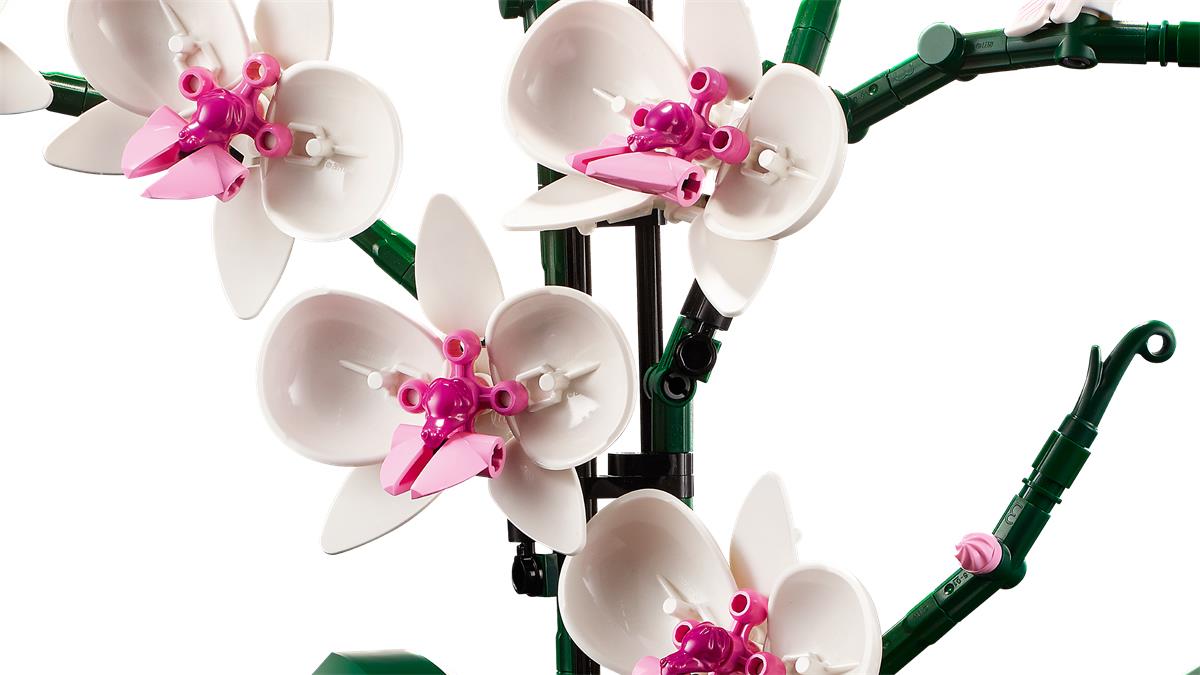 LEGO 10311 ICONS Orchidea