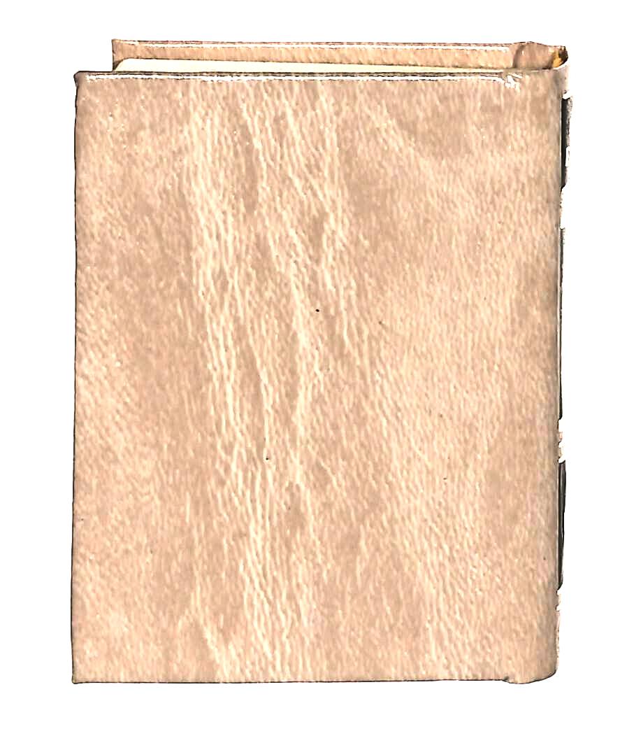 EBOND Mini Biblioteca Peruzzo Passione D'amore Di Manon Lescaut Libro LI038573
