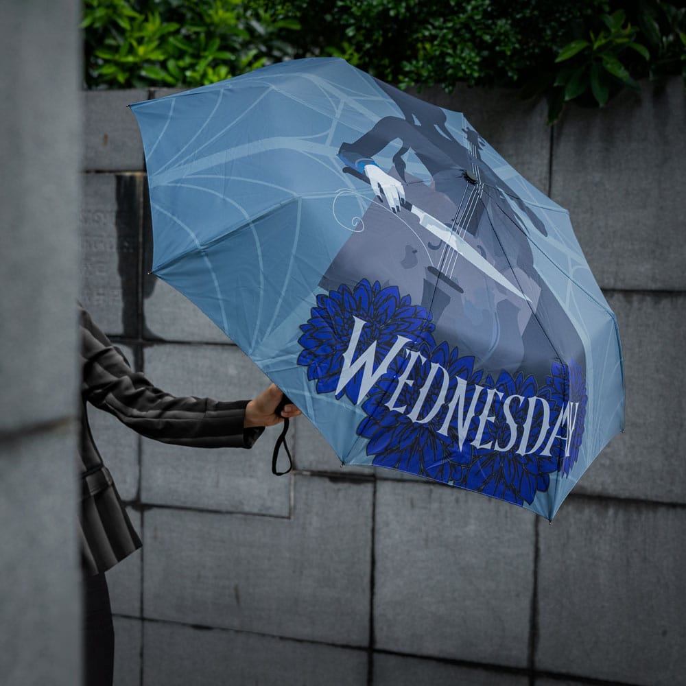 Wednesday Umbrella Wednesday with Cello P035305