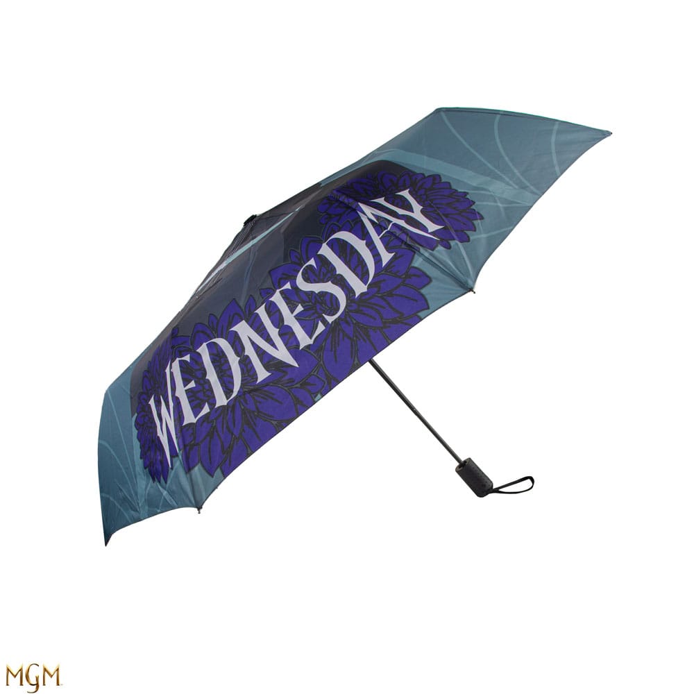 Wednesday Umbrella Wednesday with Cello P035305
