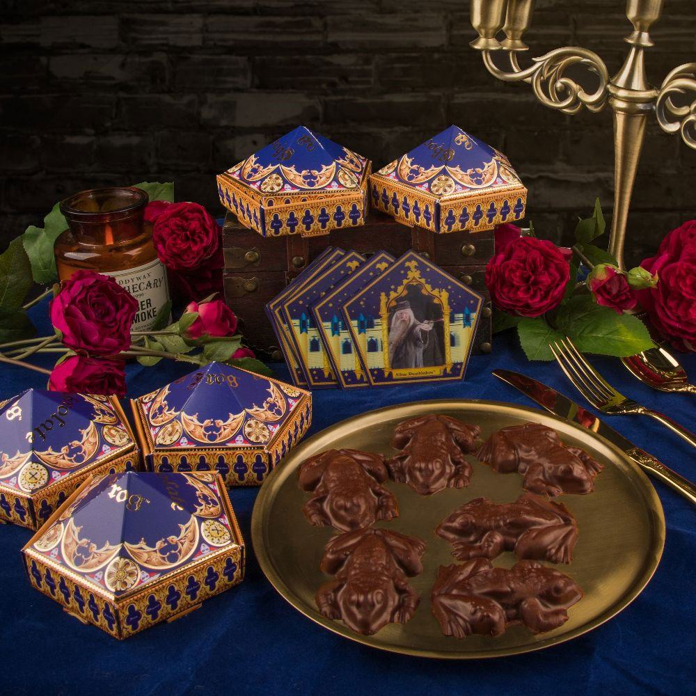 Harry Potter Chocolate Frog Mold New Edition P044637