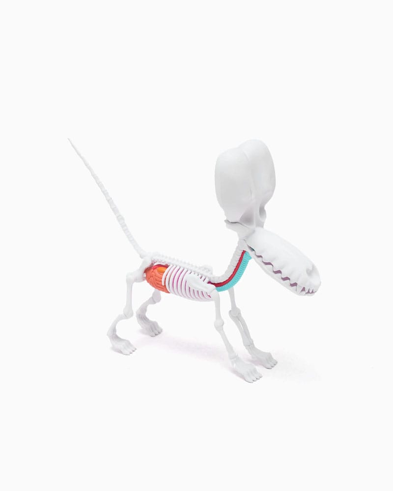 Funny Anatomy Honey Edition Balloon Dog Statue P064973