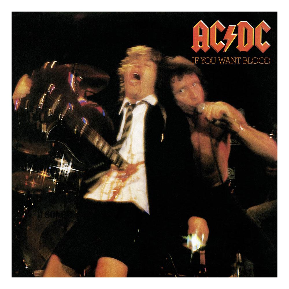 AC/DC Rock Saws Jigsaw Puzzle If You Want Blood (500 pieces) P055425