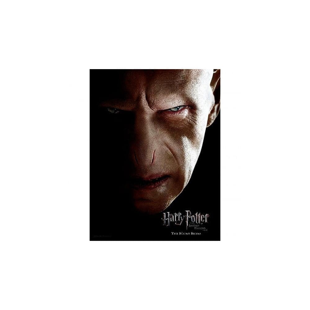 Harry Potter Glass Poster Voldemort 30 x 40 cm P066665