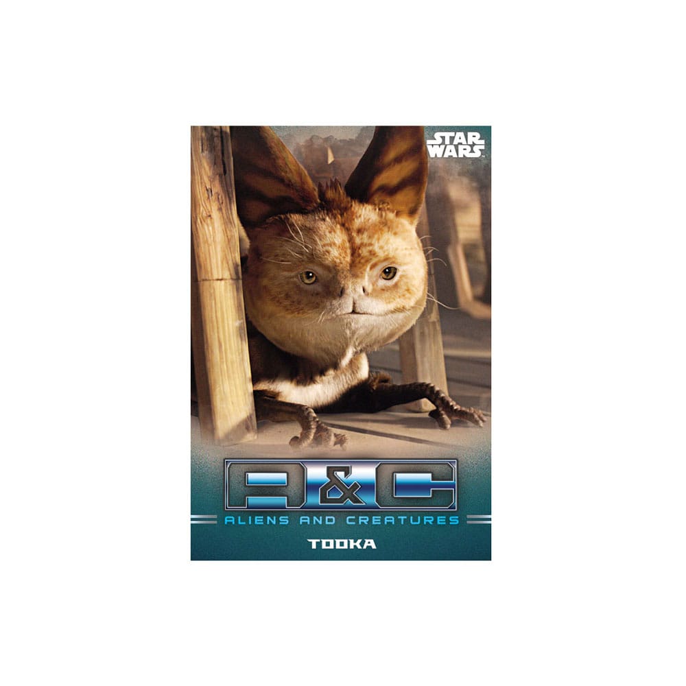 Star Wars: The Mandalorian Trading Cards Starter Pack *English Version* P060823