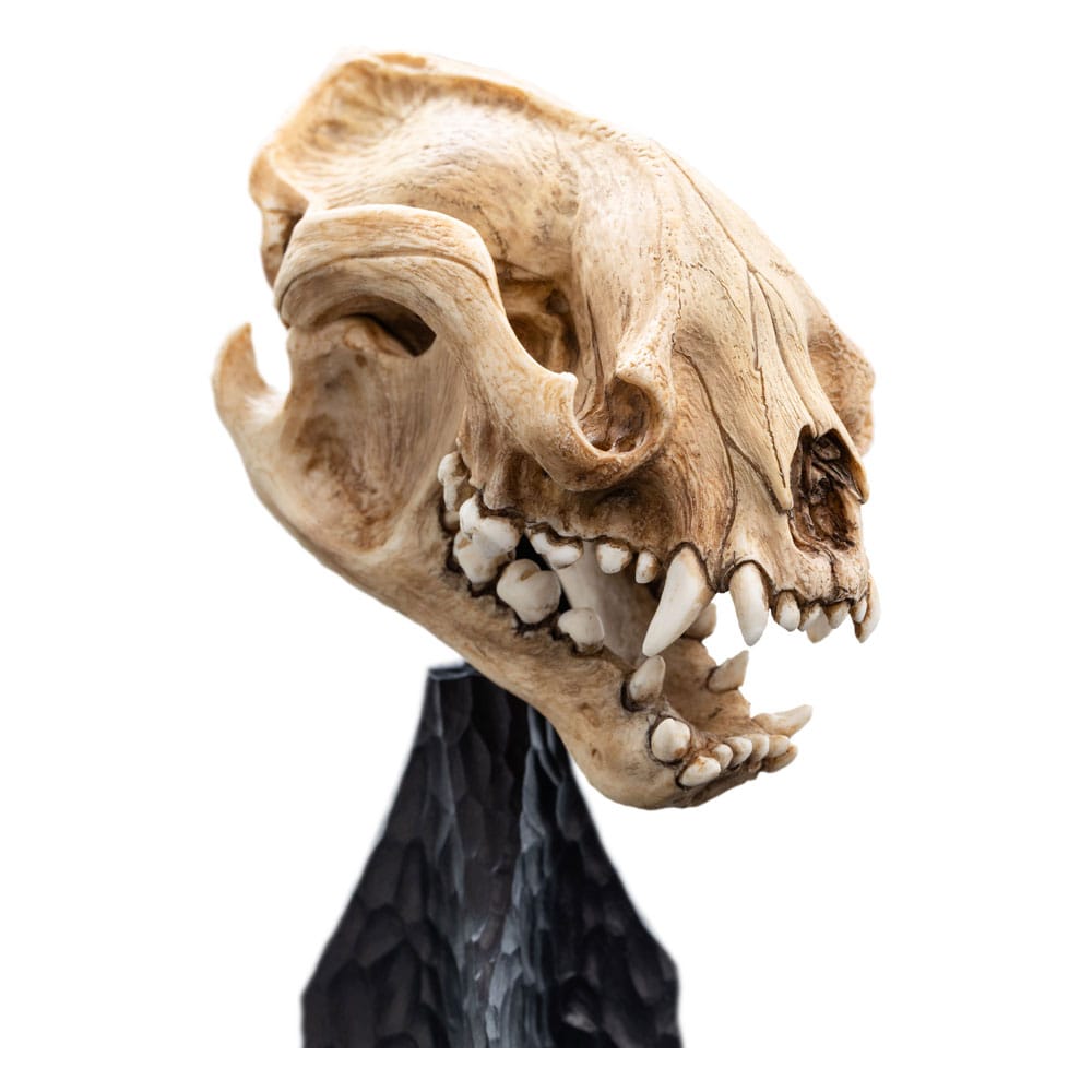 Lord of the Rings Mini Statue Skull of a Warg 20 cm P062820