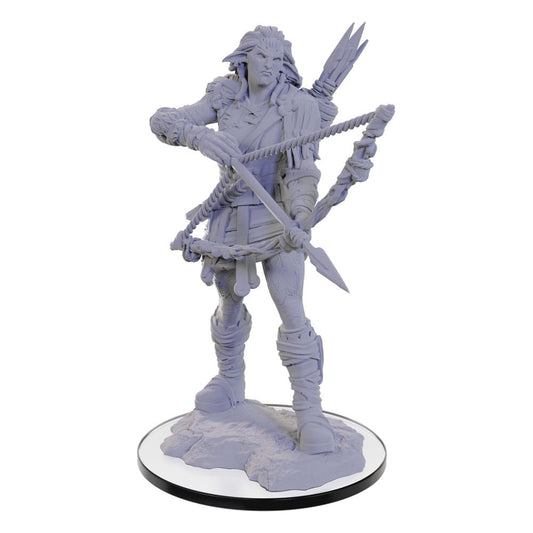 Pathfinder Deep Cuts Unpainted Miniature Wood Giant P063141
