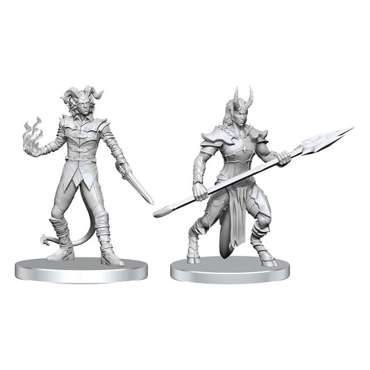 Pathfinder Deep Cuts Unpainted Miniatures Vordine (Infantry Devil) & Pitborn Rogue P063183