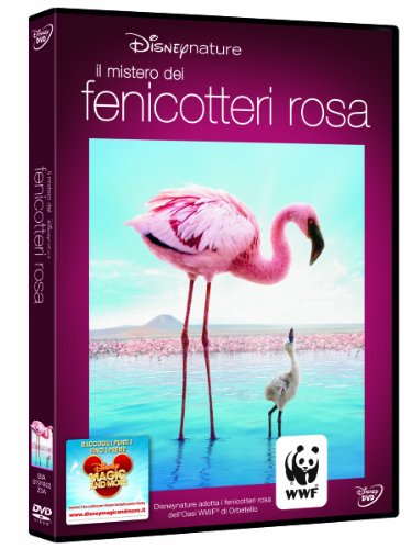 EBOND Il mistero dei fenicotteri rosa DVD D048062