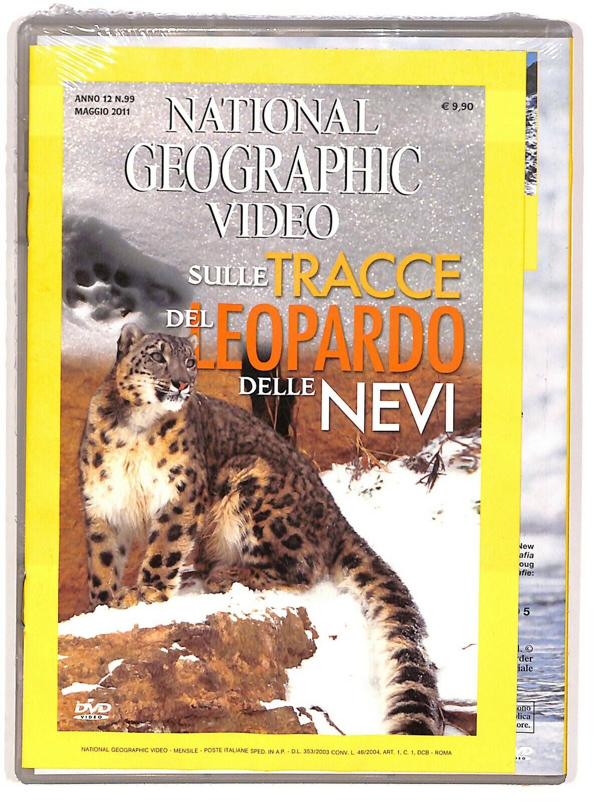 EBOND Sulle Tracce Del Leopardo Delle Nevi - National Geographic DVD D573607