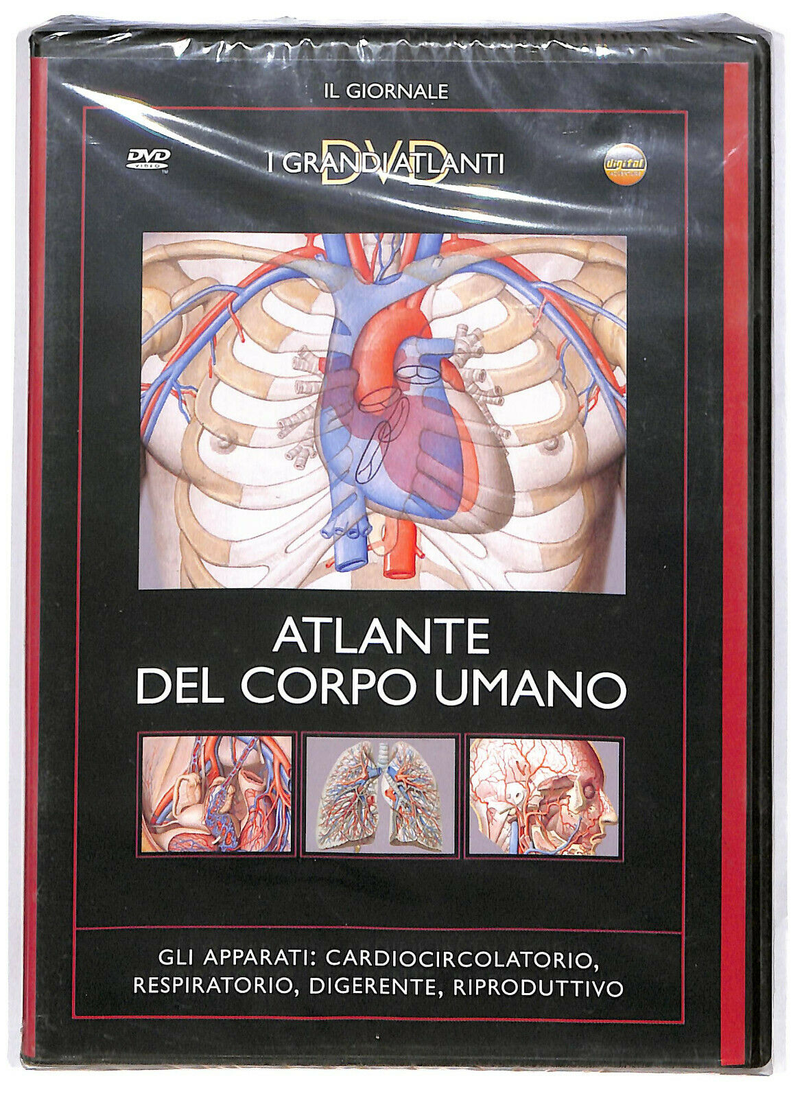 EBOND Atlante Del Corpo Umano- Gli Apparati Cardiocircolatorio DVD D583504