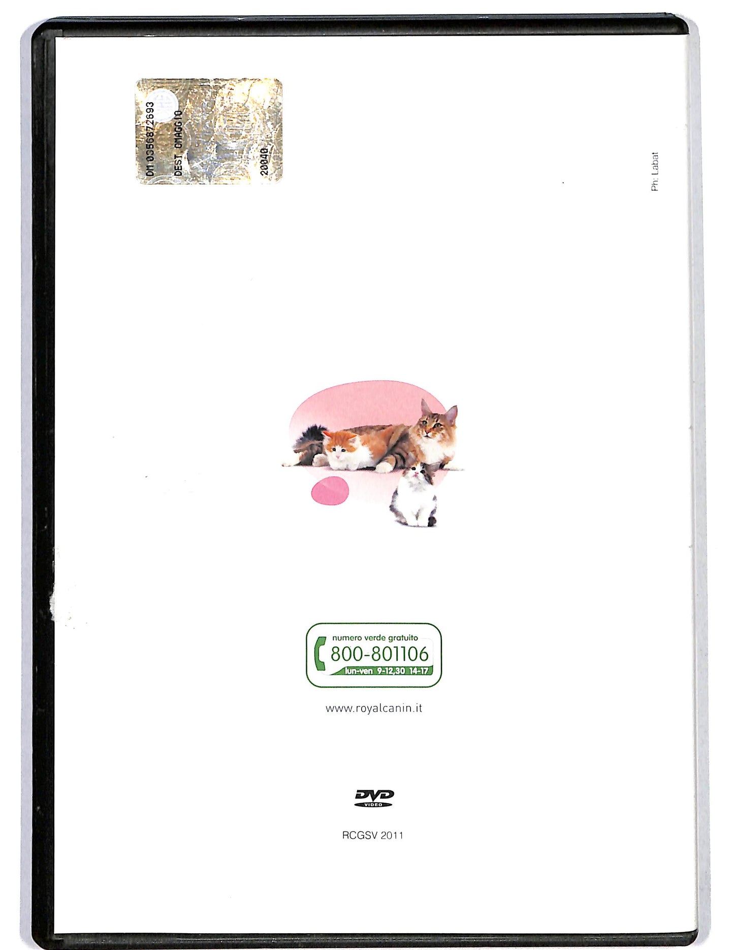 EBOND La vita del gatto - dalla nascita all'eta adulta EDITORIALE DVD D625341